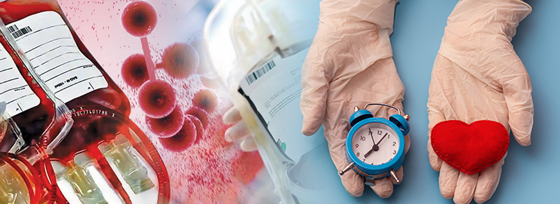 blood-bank